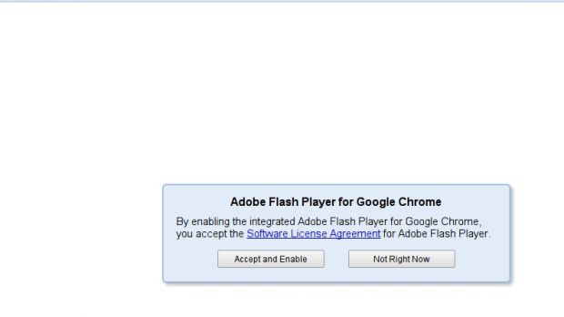 Adobo Flash Player Eula Download Mac